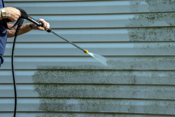 Local Pressure Washing Services in Washoe Valley, NV